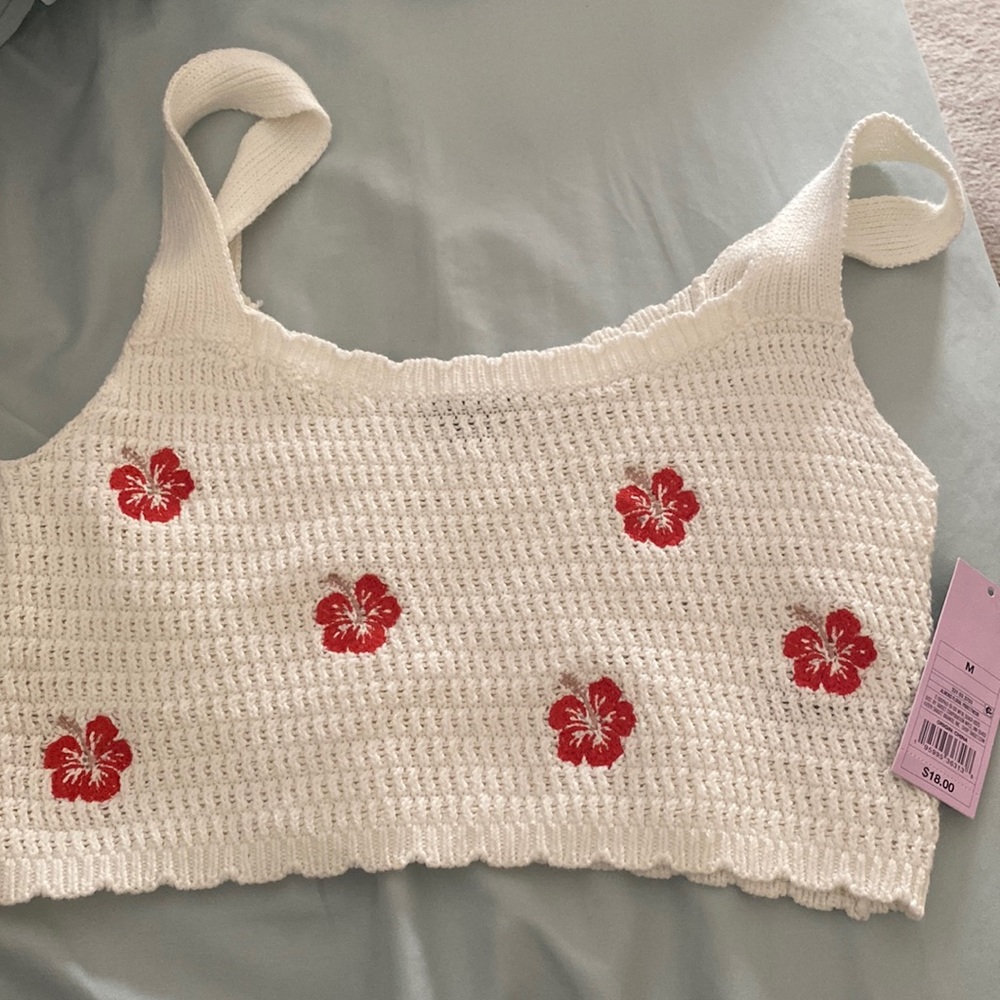 Wild Fable crochet crop top.  Cream with red flowers.  New with tags.